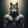 yn_lifts
