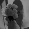 k_kj91