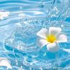 _unknown_419