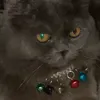 alialhlfee3