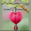 ikrammughal5557