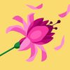 chamer.ichie