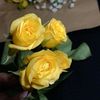 somaya_me