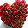 wub..alem