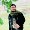 mhamad_shaedani0