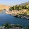 mustafamardan