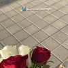 re_taj_adel99