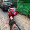 amir_907856