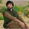zaibjaan713