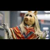 fiveminutesofcrap_