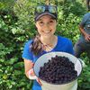 betterbeegardening