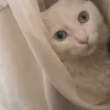 khadijamoutouikki