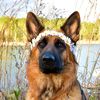 librathegsd