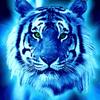 bluetigergames6