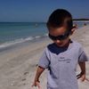 enis.7