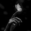 hope_loulou