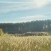 yzhrrx