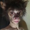 johnporksson