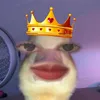 tinsecodacc