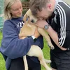 steedknowsrugby