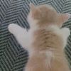 yuurination