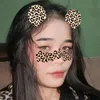 desmi_23