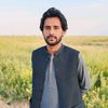aamiralisolangi74