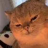 lauxanh.usb