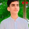 ladlahamza500