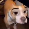 nutthasi999