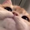 trqn_.hue