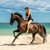 Elirose Equestrian