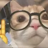 dusgatos