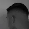 laguedess