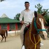 emreturk0.6