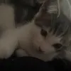 lulu_1333