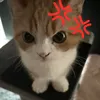 avwvvw