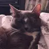 razubecca