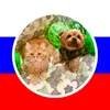 Марина