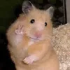 aivaa_v
