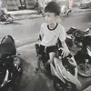 vphlong_114