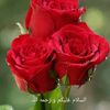 user45513978
