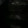 ordi_7778