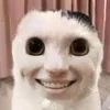 mynameducviet