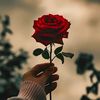 jameelsandhu000