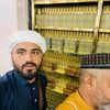 rajaali333.com