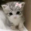 miilxxp