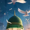 muhammadp114