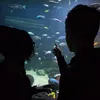 http.nina.pv
