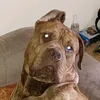 chrisjames821